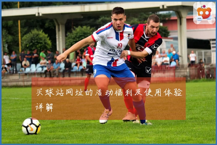 买球站网址的活动福利及使用体验详解