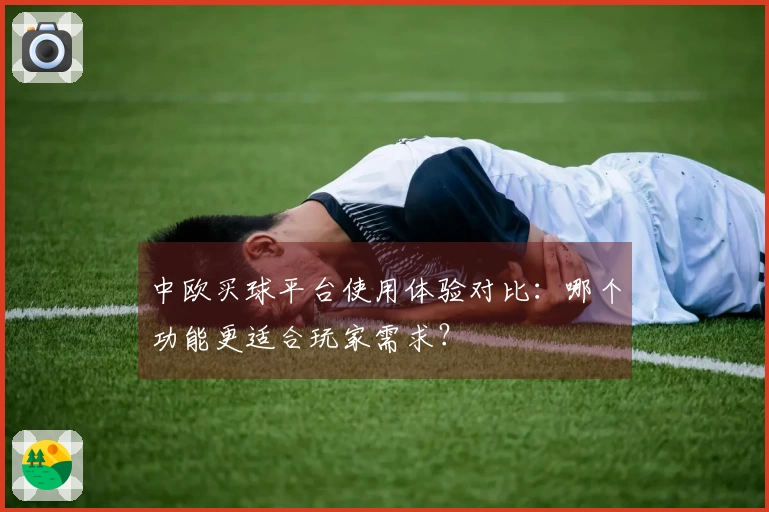中欧买球平台使用体验对比：哪个功能更适合玩家需求？