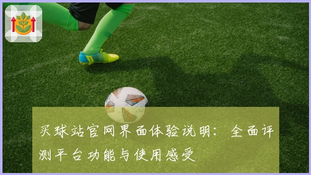 买球站官网界面体验说明：全面评测平台功能与使用感受